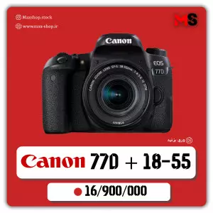stock